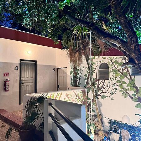 Hotel Ha Garden Gallery - 5Th Avenue Playa del Carmen Extérieur photo