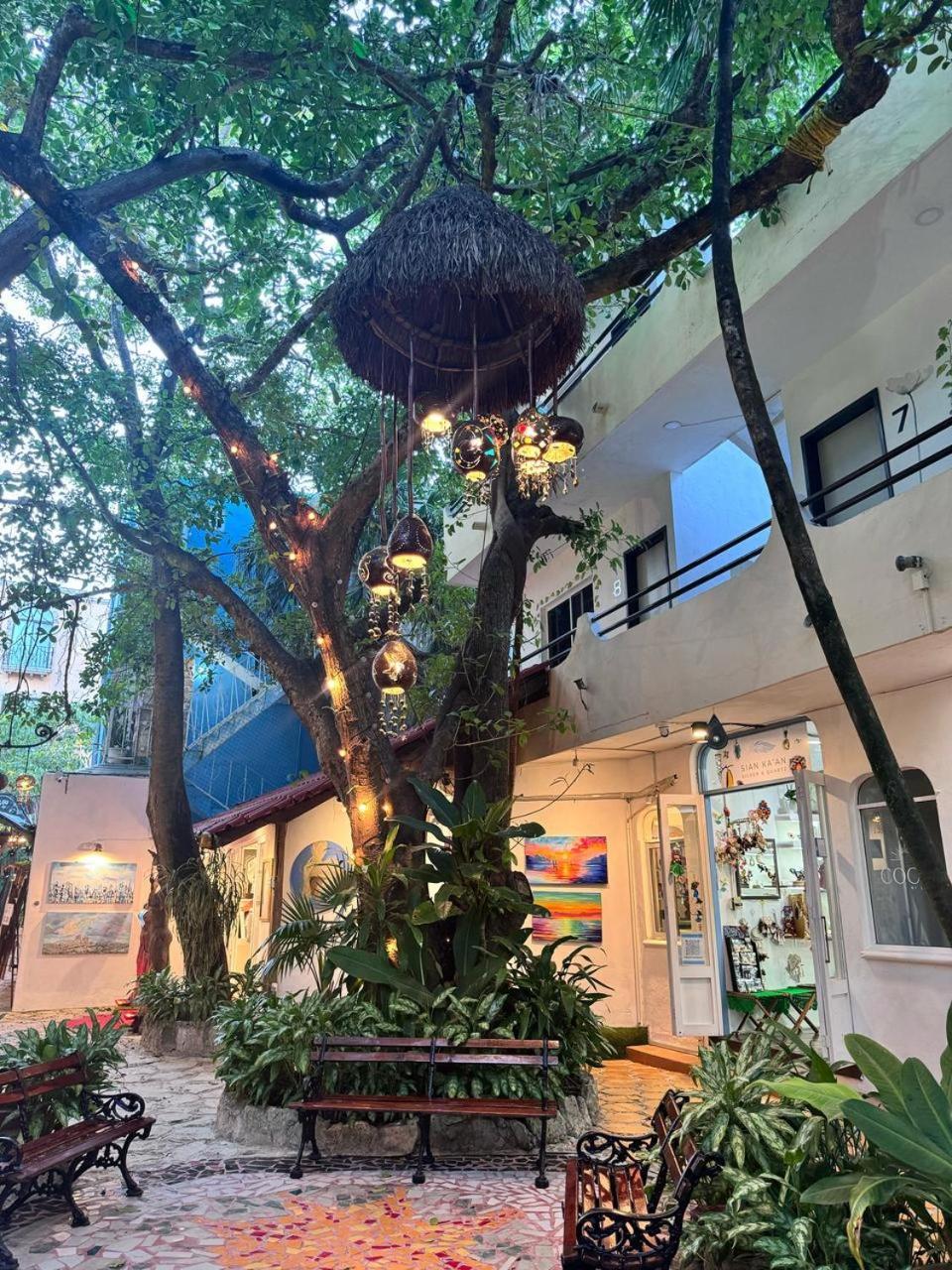 Hotel Ha Garden Gallery - 5Th Avenue Playa del Carmen Extérieur photo