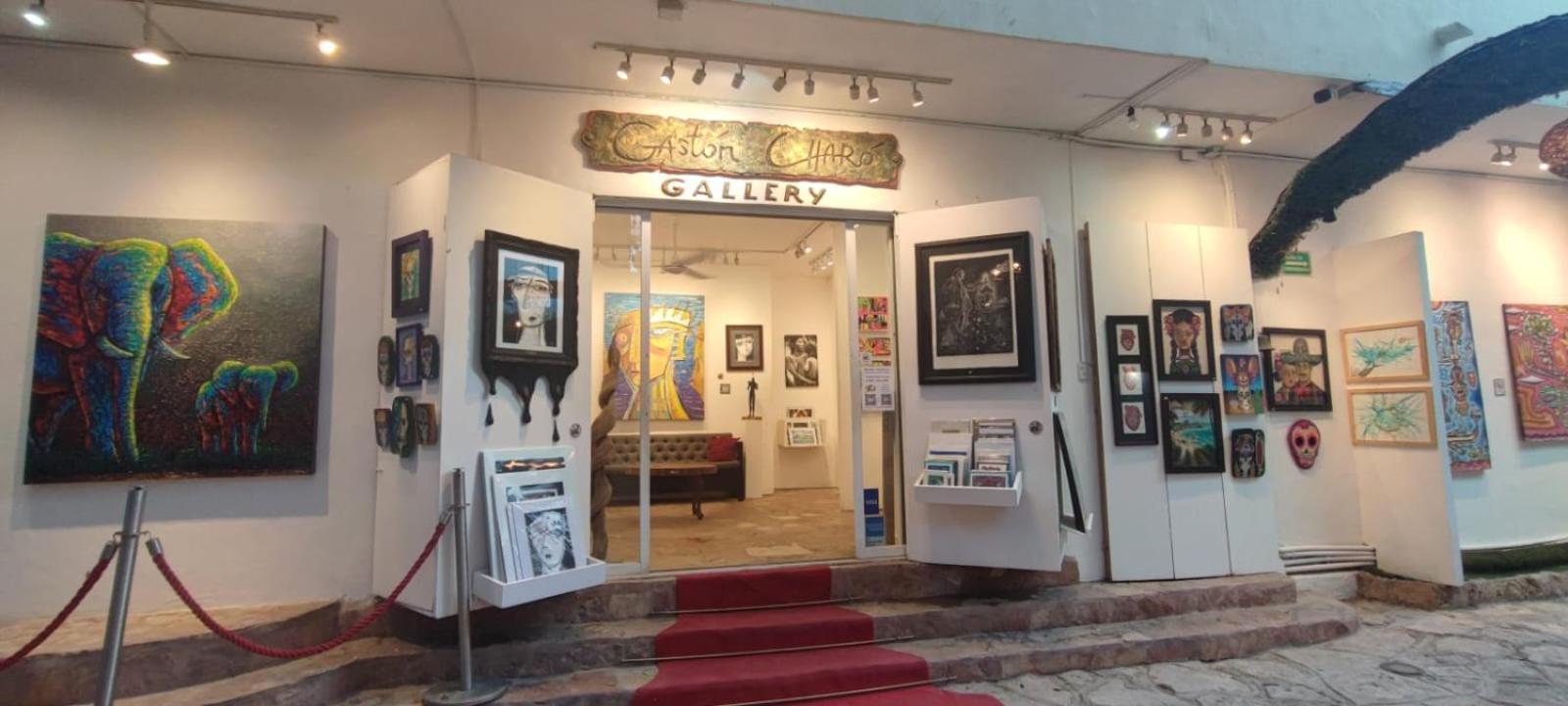 Hotel Ha Garden Gallery - 5Th Avenue Playa del Carmen Extérieur photo