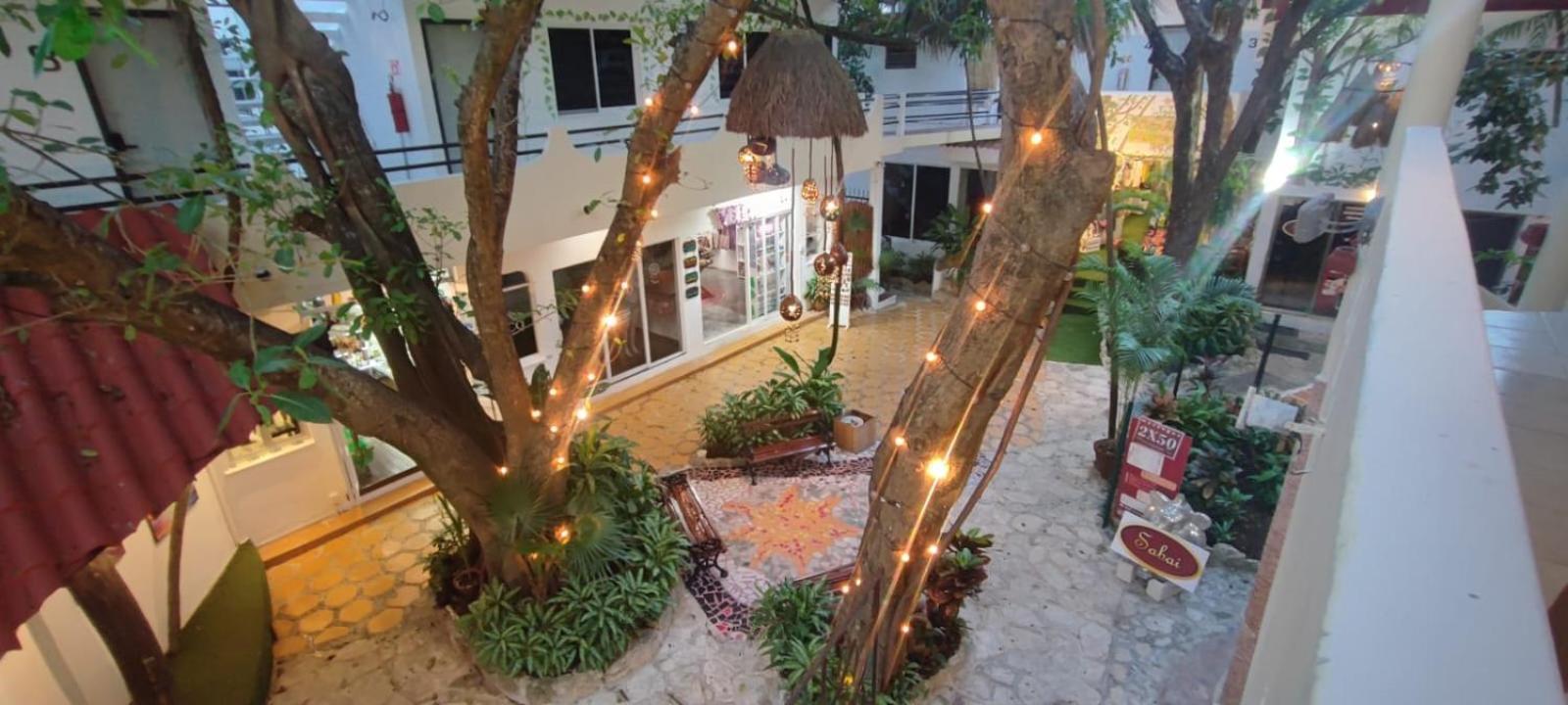 Hotel Ha Garden Gallery - 5Th Avenue Playa del Carmen Extérieur photo