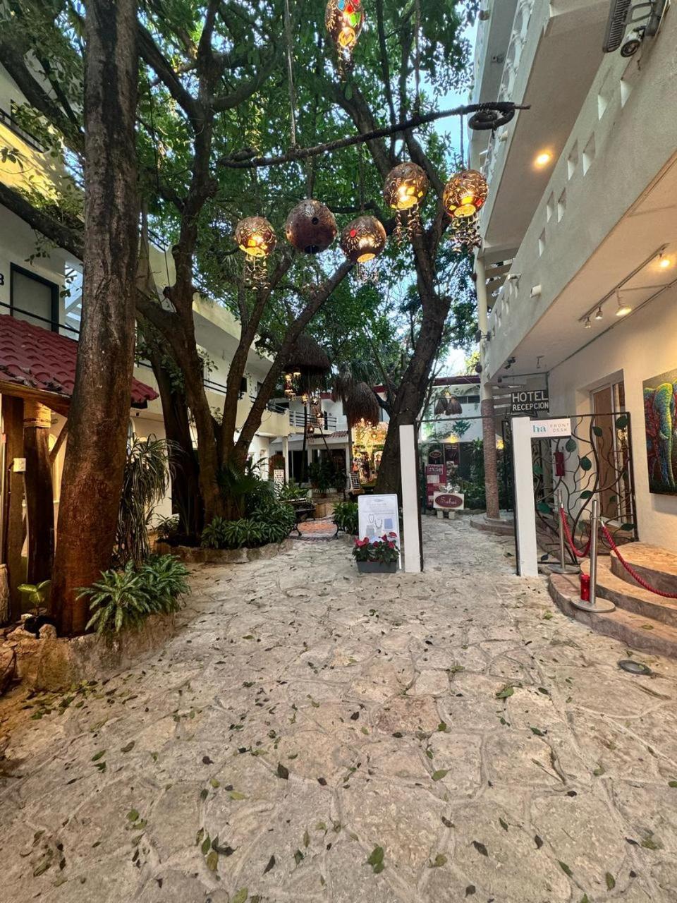 Hotel Ha Garden Gallery - 5Th Avenue Playa del Carmen Extérieur photo