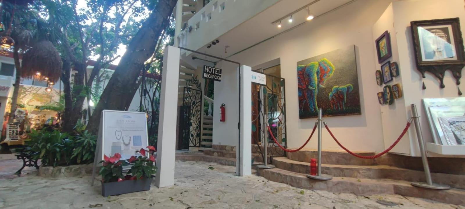 Hotel Ha Garden Gallery - 5Th Avenue Playa del Carmen Extérieur photo